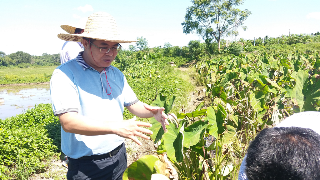 PA旗舰厅(中国区)官方网站-PlayAce