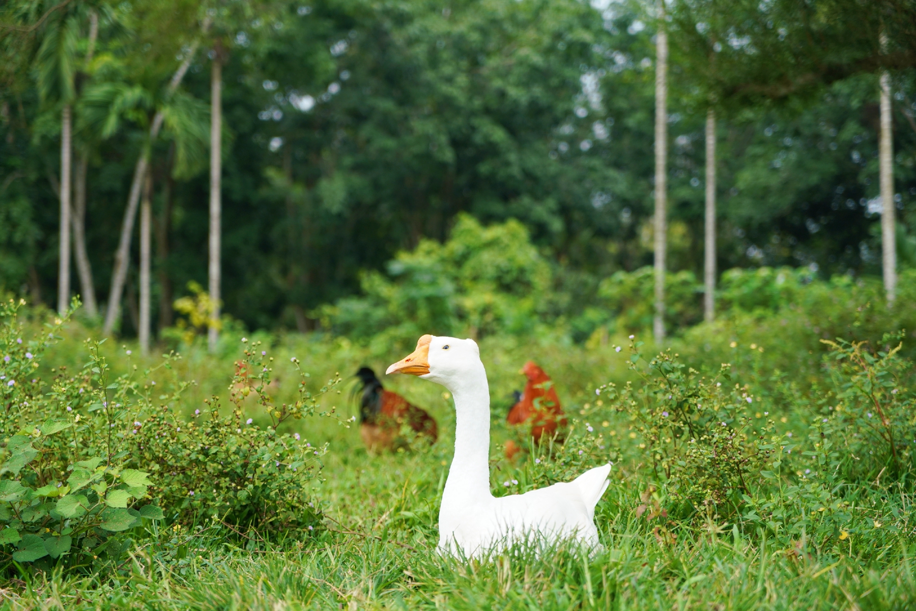 PA旗舰厅(中国区)官方网站-PlayAce