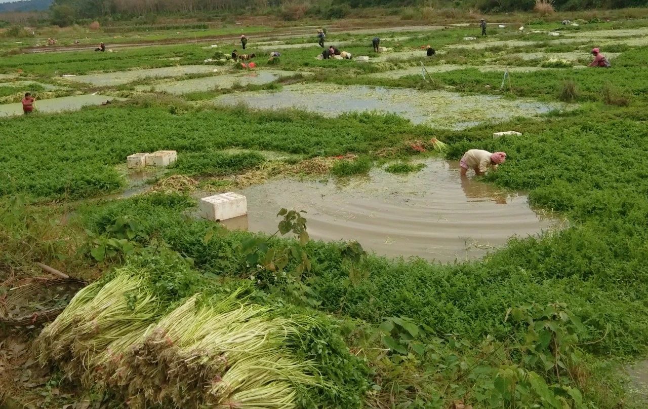 PA旗舰厅(中国区)官方网站-PlayAce