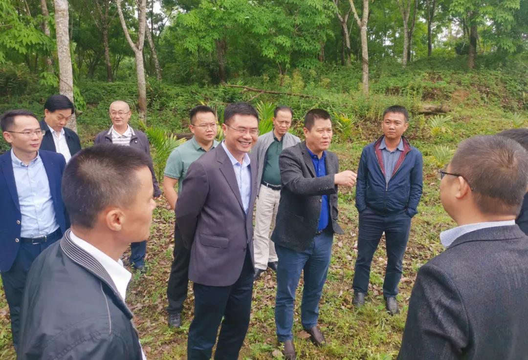 PA旗舰厅(中国区)官方网站-PlayAce