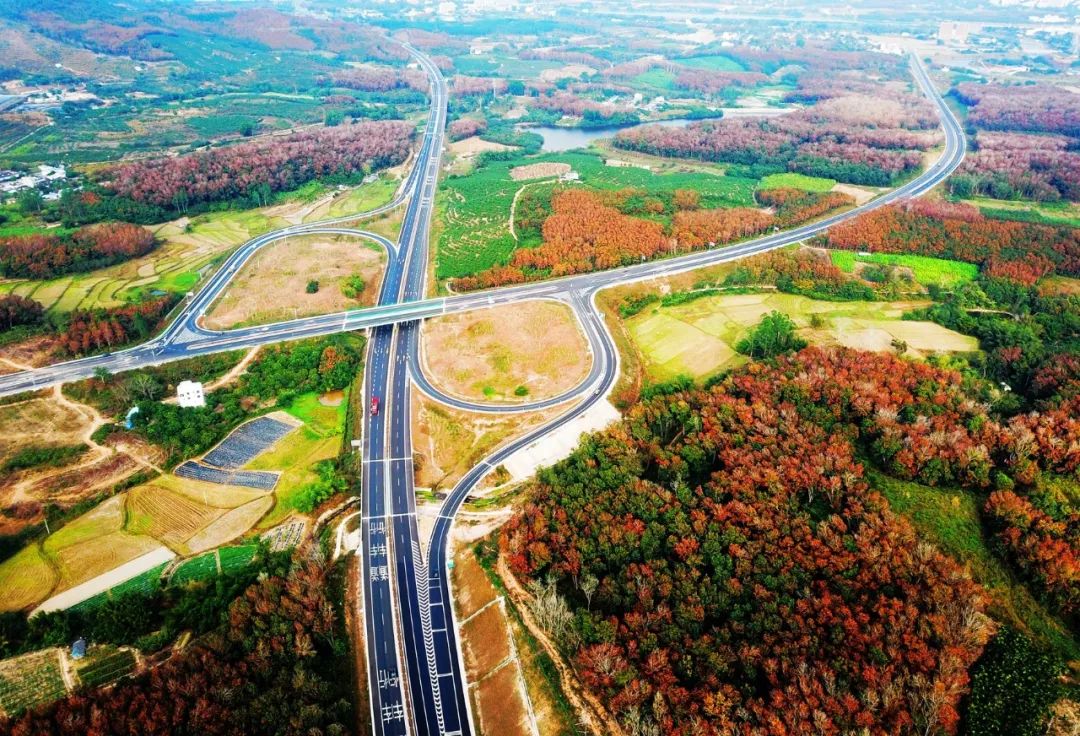 PA旗舰厅(中国区)官方网站-PlayAce