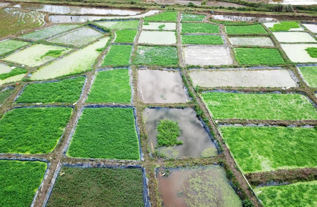 PA旗舰厅(中国区)官方网站-PlayAce